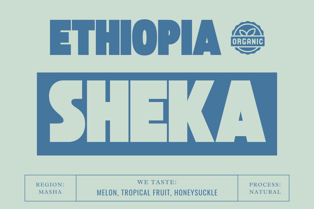 Ethiopia Sheka Organic Natural