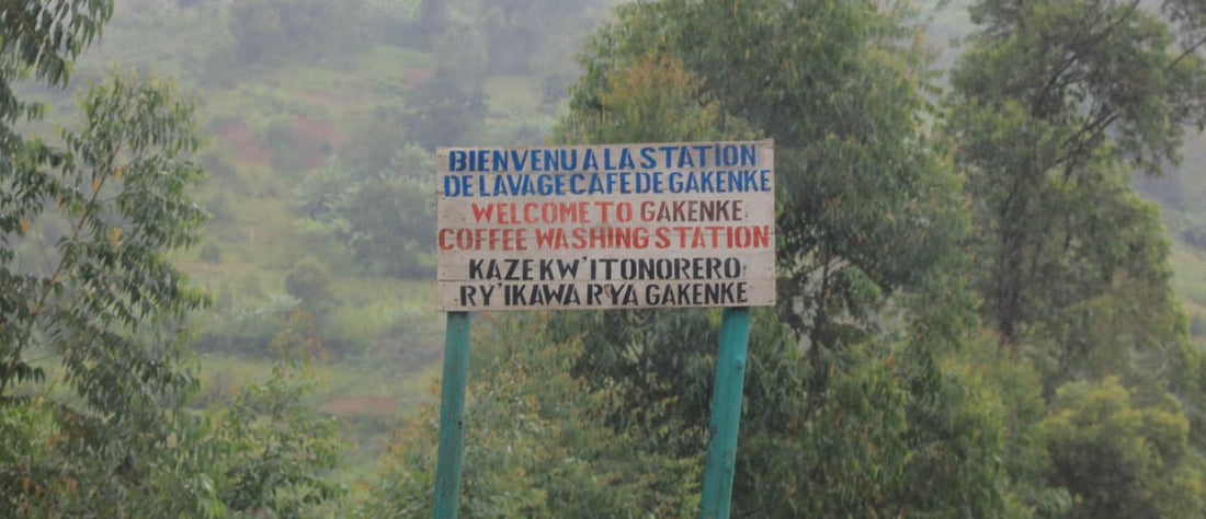 Burundi Gakenke Washed